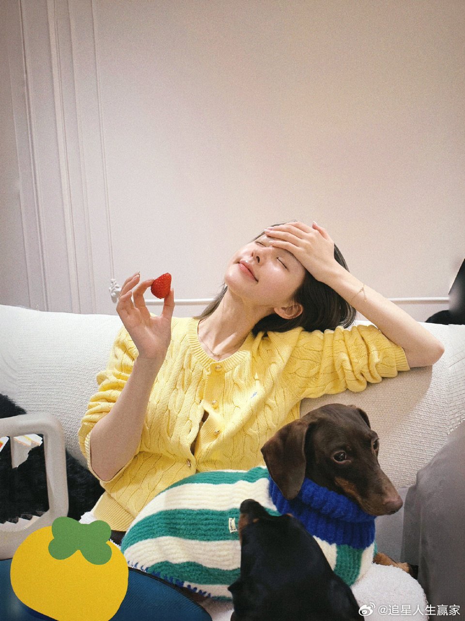 赵露思许妍获得金树林年度女主角提名！在一堆正剧杀出来的含金量📶