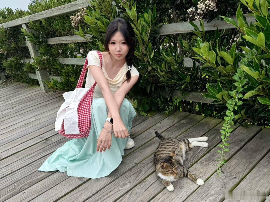 图中有两只猫 青岛·燕儿岛