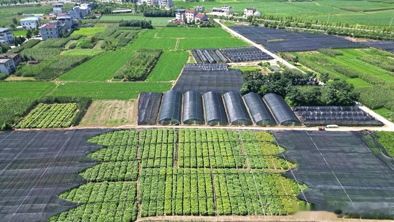 房县 我县加快推进国土绿化示范项目建设十堰爆料 房县新闻网讯 记者 绳晓 报道：