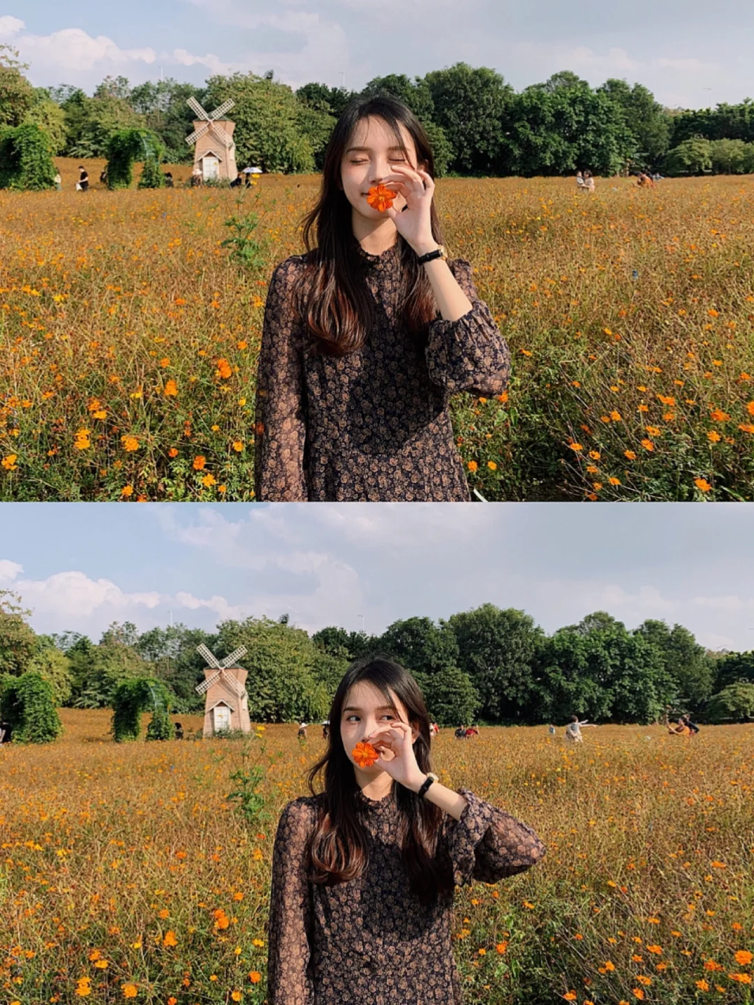 广州拍照｜花海🌼