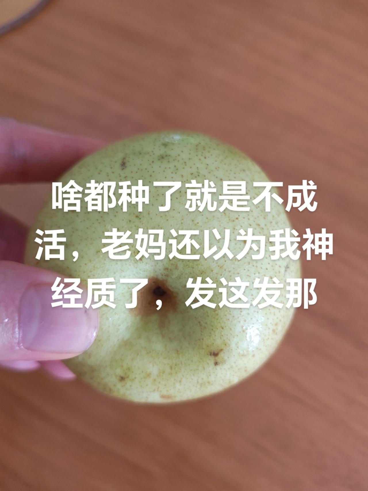 种草抖音种草好物与辉同行抖音种草激励计划真的有钱收吗，还能坚持吗