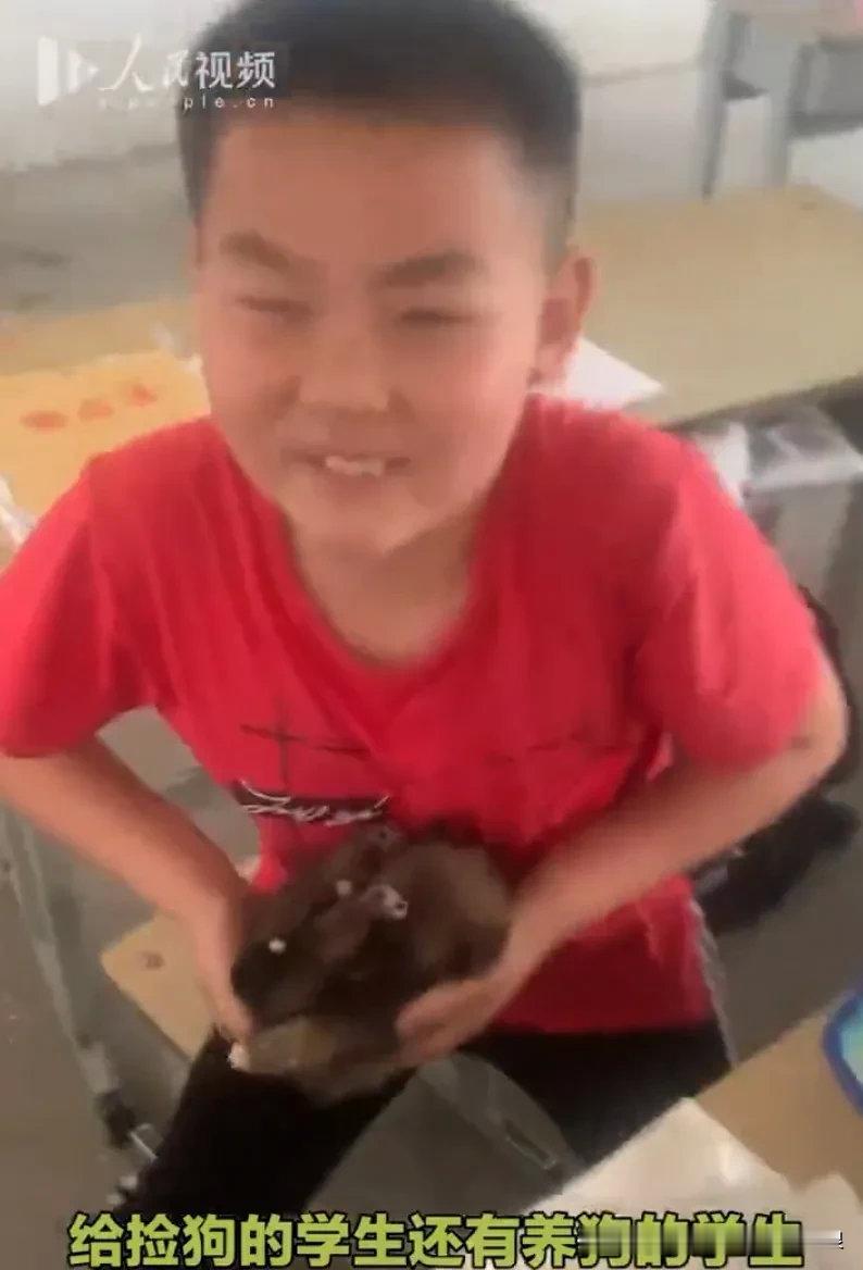 小学生路边捡到小狗带到课堂，被发现后，老师的处置结果令人暖心。