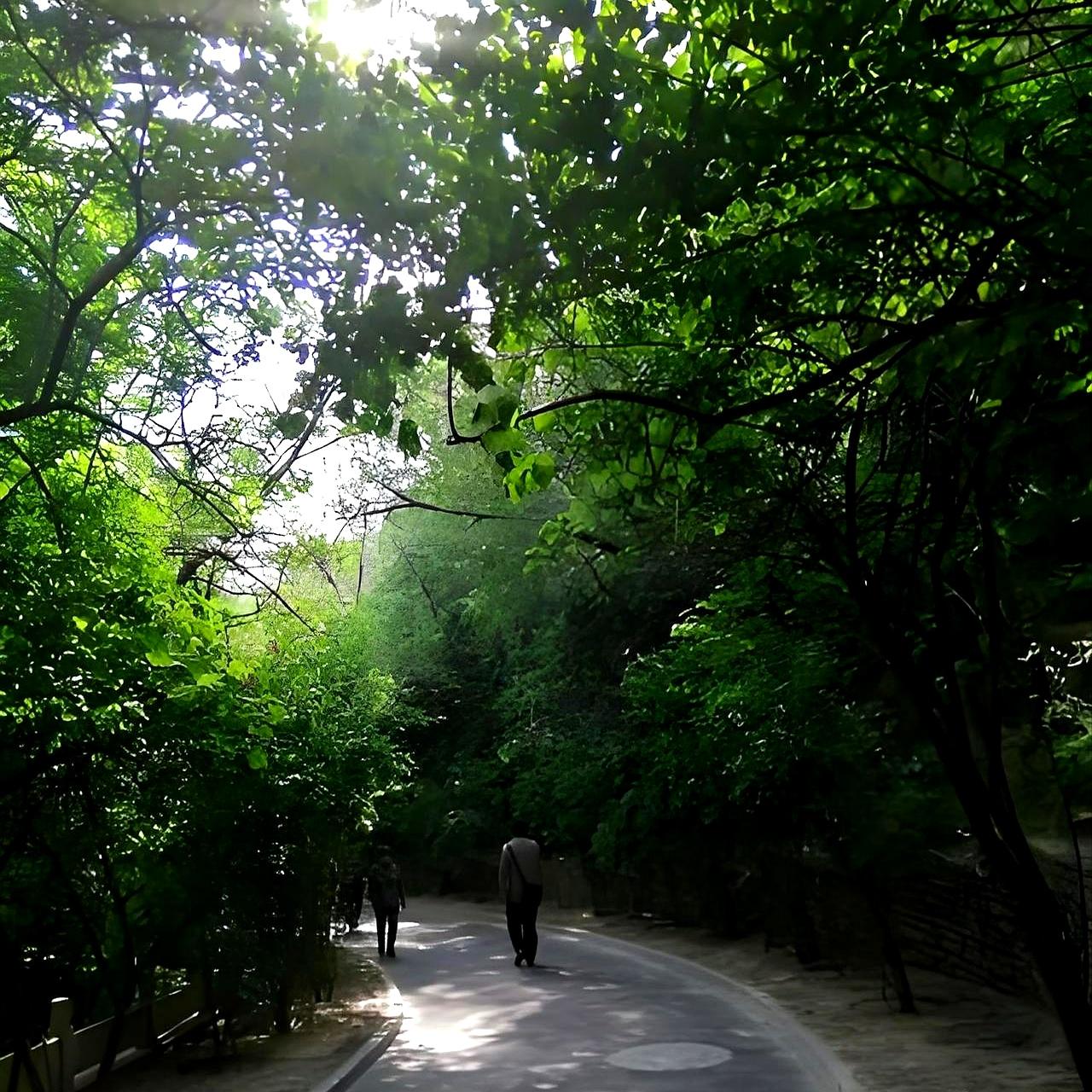 深夜跌了一下，老太太扶着墙，先掏医保卡，再叫车，通讯录翻到孩子那一栏又划走。
没