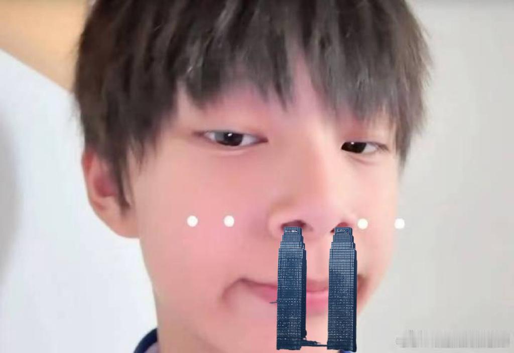 汗汗的鼻子可以塞下cjgj陈思罕