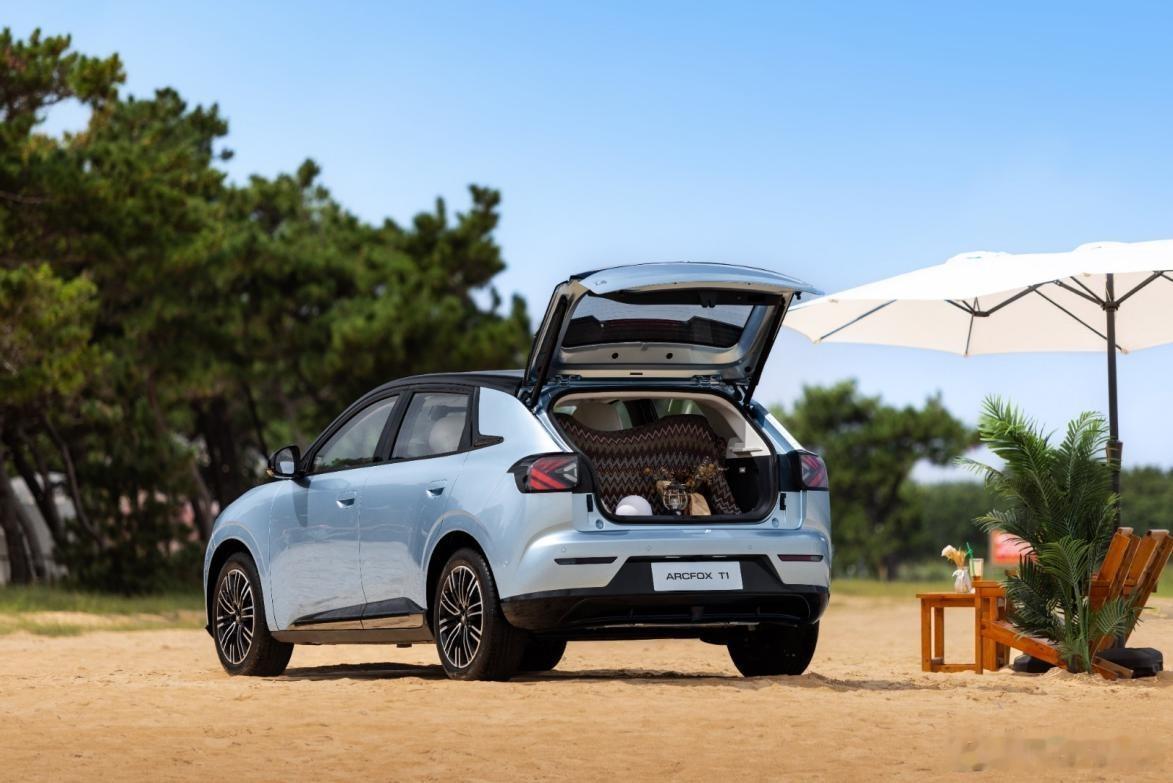 车内环境关乎家人健康，极狐T1在材质选择上尽显用心。仪表板等关键区域采用Micr