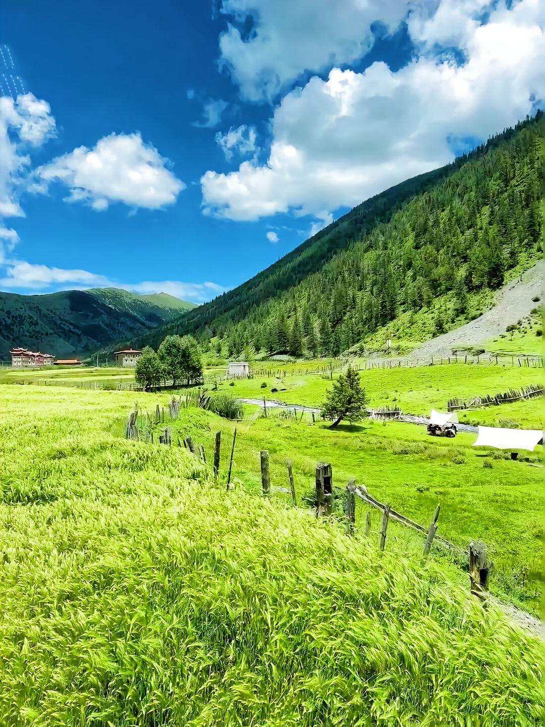 我常跟老师说，我不怕你收高额学费，就怕学费定得太低。学费低，其实正说明教学能力欠