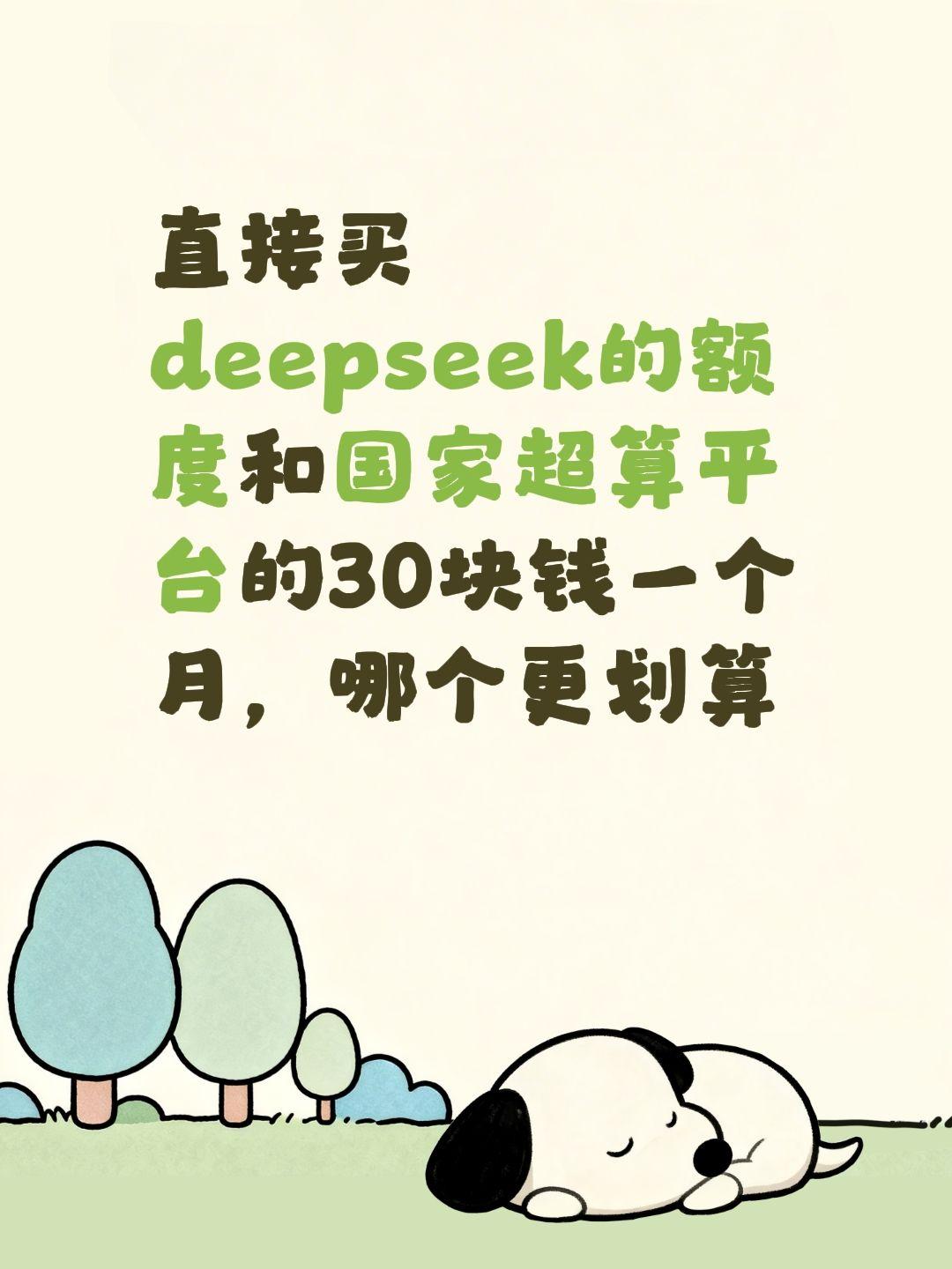 直接买deepseek的额度和国家超算平台的30块钱一个月，哪个更划算ai算力需