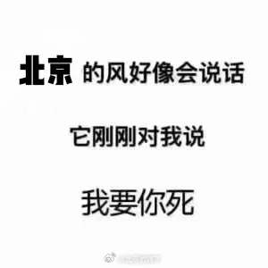 北京的风，会说话🗣️北京大风 北京