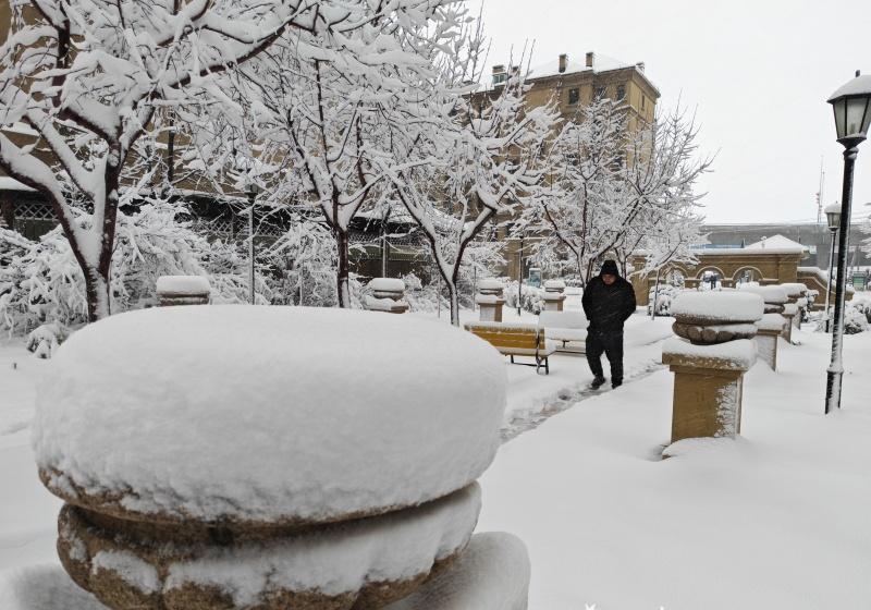 今晨，松软的雪花聚枝头，每一片雪花都送来了入冬的祝福，一夜过去，降雪所触之地，皆