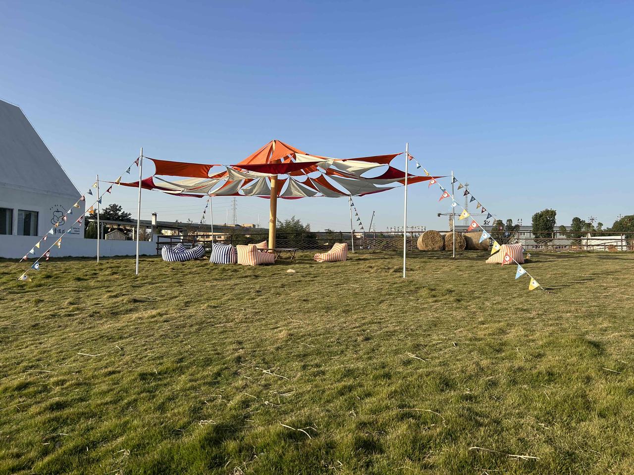 曾几何时

曾笃信山河含笑，万物有光。人心是温暖的驿站，所有相遇都该被郑重收藏。