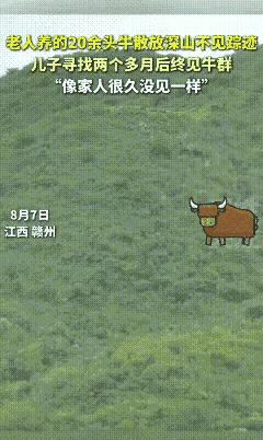 “万物皆有灵性！”江西赣州，一位70多岁的老人，独自在深山里养着20多头牛。由于