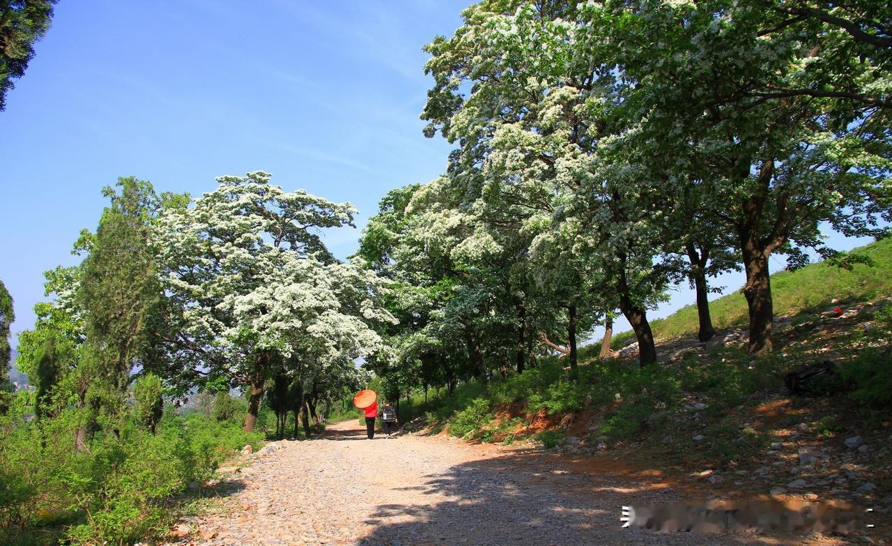 青州西南山区2天自驾秘境线，精简可直接导航、避人流、吃地道春味，附花期与自驾提示