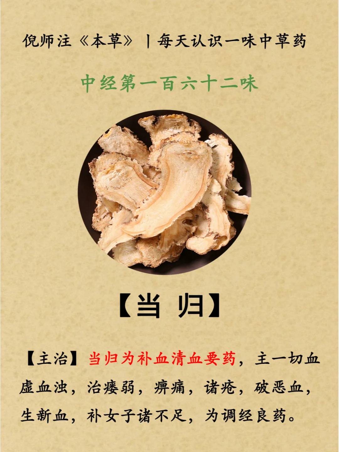 补血清血丨中经第162-当归