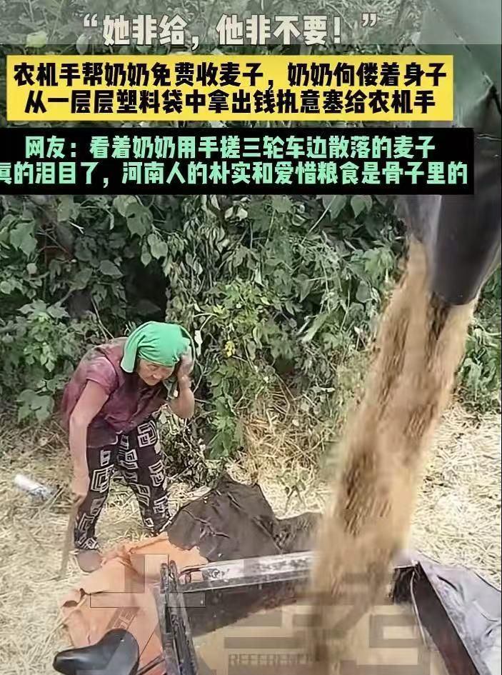 河南，开收割机的师傅正准备收工走人，突然窜出来个70多岁的老太太，“哐当”一下就
