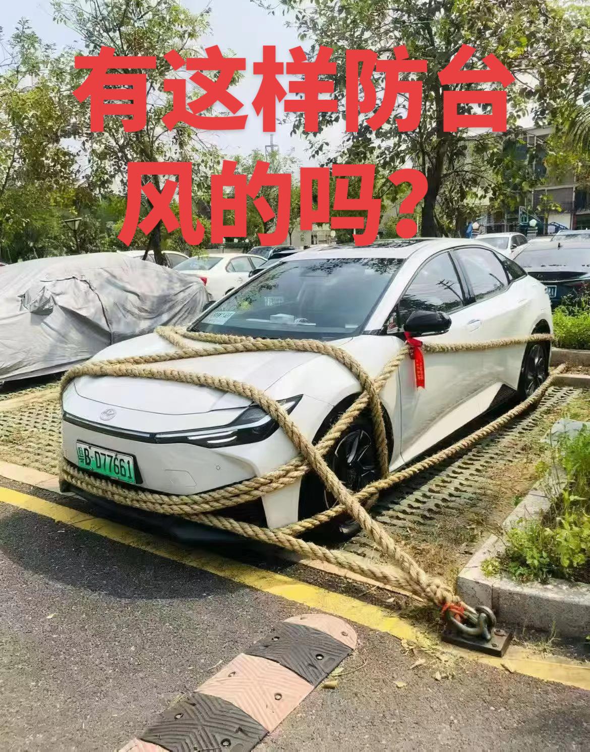 新能源汽车 遇到凡事不要慌 安全 太可怕了