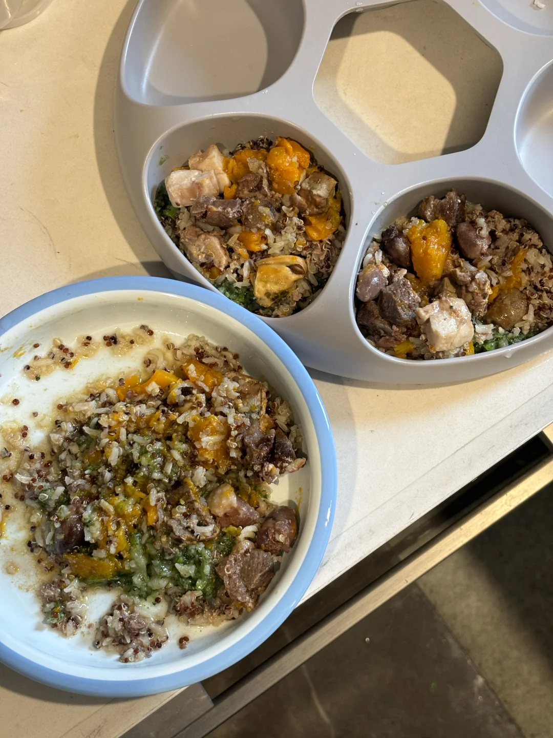 人上班 小狗怎么一天吃四顿熟自制