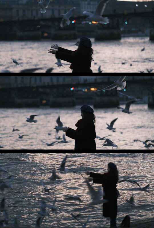 在塞纳河边捕捉到了一幕超治愈的画面！ 	 巴黎的浪漫，大概就藏在这些不...