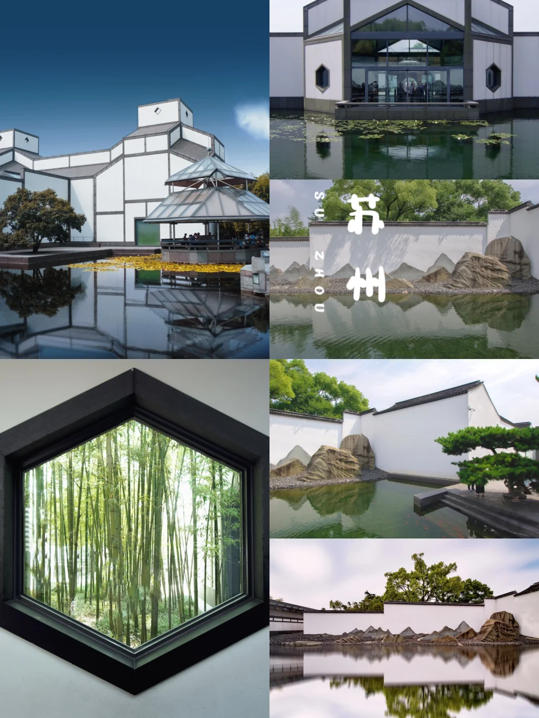 你一句春不晚，我就到了真江南🍃