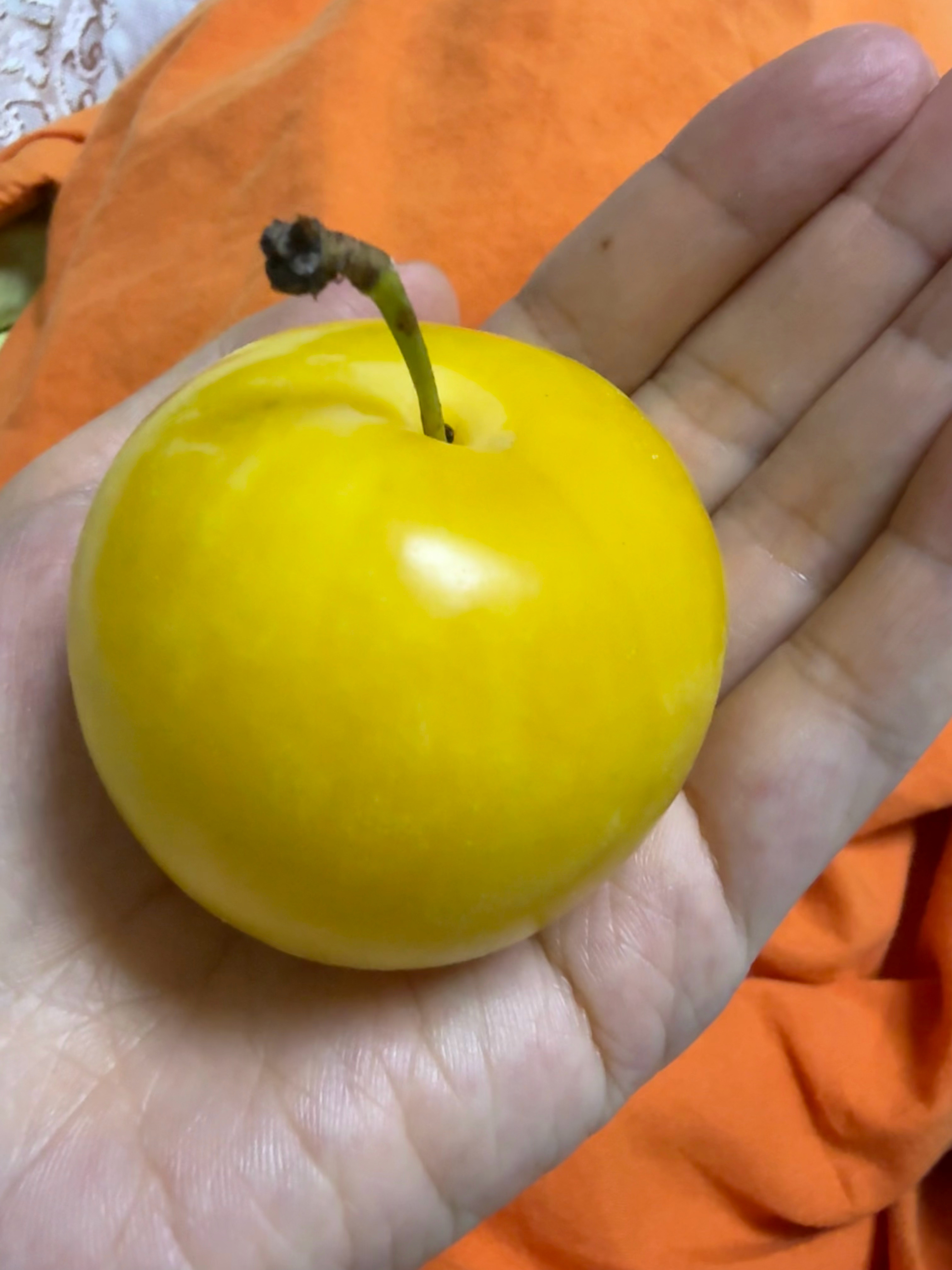 这是什么品种的李子，一把都捏不住。皮是酸的里面超甜味道挺特别的。朋友送的据说是只
