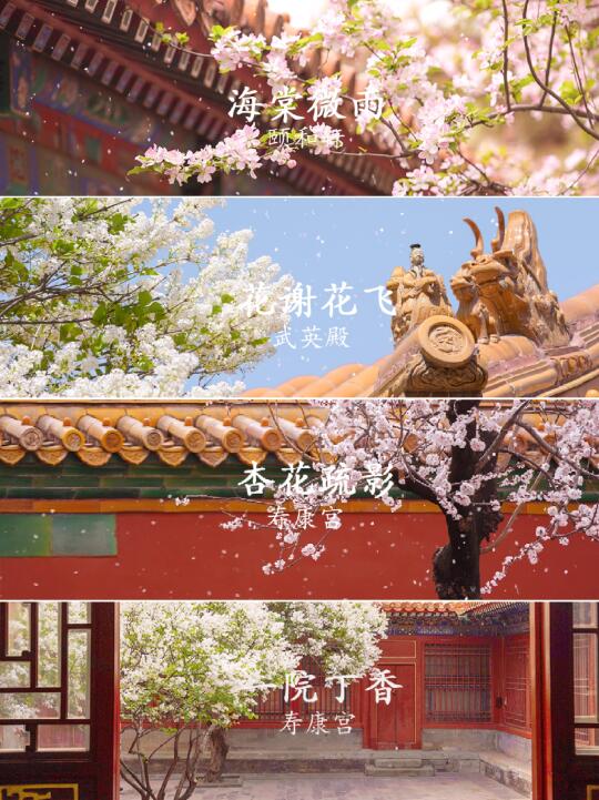 🌸2025故宫赏花｜这是份有香味的寻花地图
