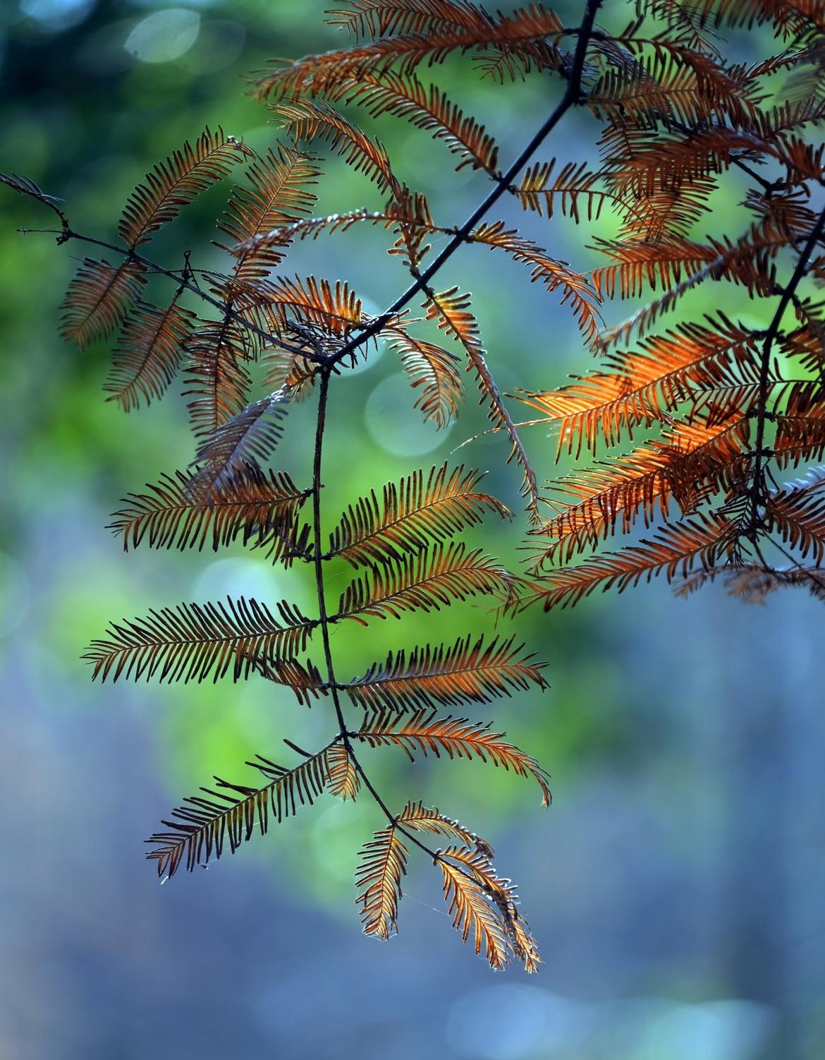我新发布的内容被官方推荐啦！👍你也快来发布一条吧！带