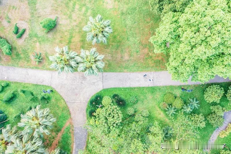 新年第一次公园遛弯 新年第一次公园遛弯，感觉格外惬意。公园里人不少，大家脸上都洋