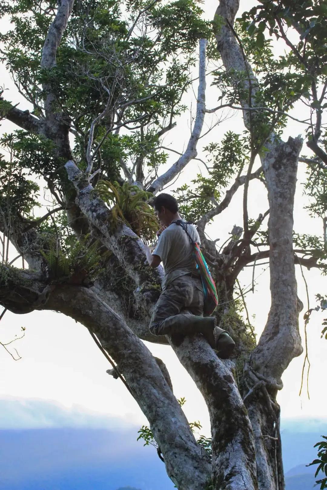 他的名字，也许在大多数人的认知里并不起眼，但他的故事，却如同森林深处那一抹不为人