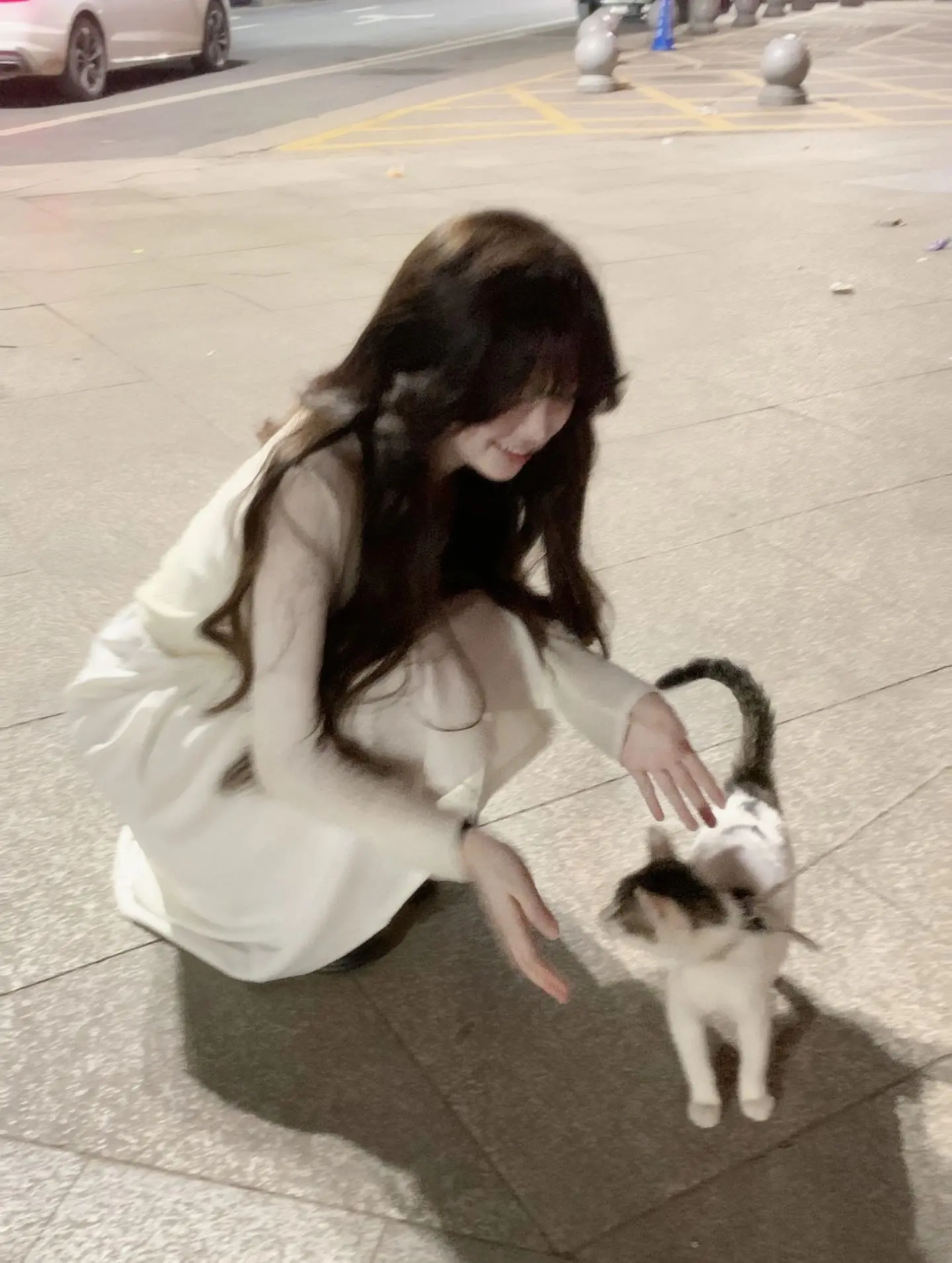 女性总是渴望一种具象的爱 爱她喂流浪猫蹲下时垂下的发丝 品尝她夜晚看到...