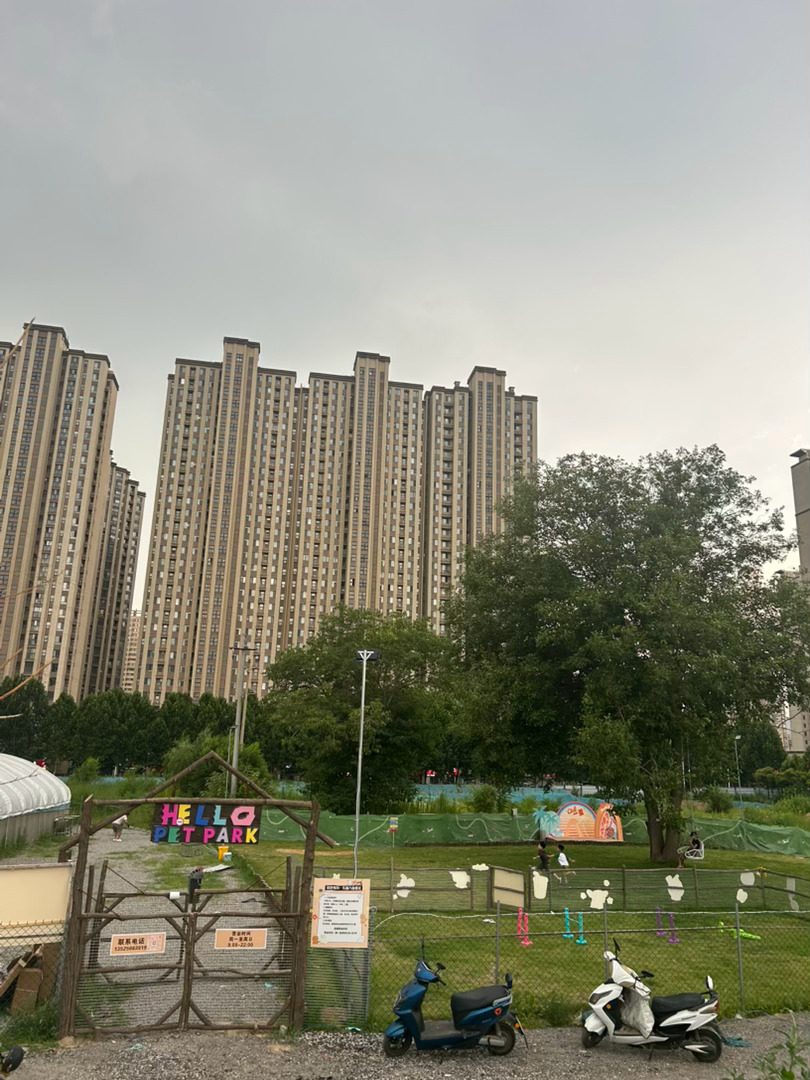 外面看样子想下雨我得早点出去遛狗今天早上某人去吊唁了朋友的父亲本来打算下午去的昨