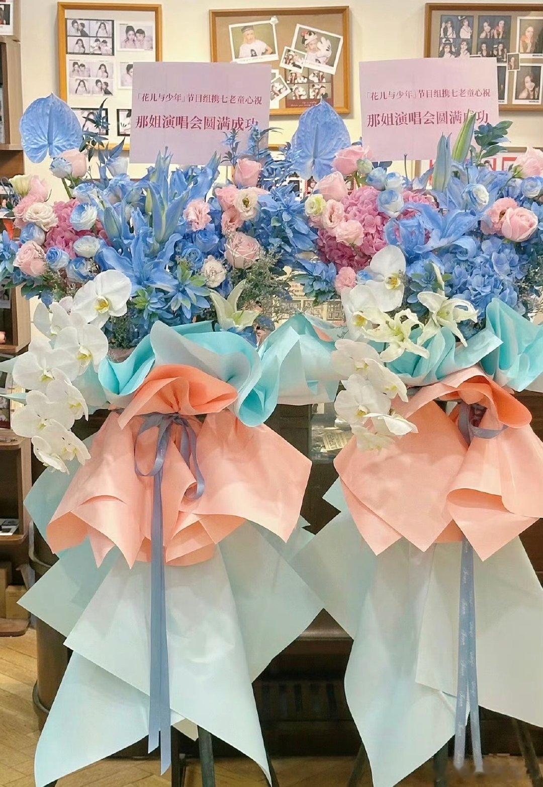 花儿与少年给那英北京演唱会送花篮七老童心给那英演唱会送花篮 那英、陈数、马思纯、