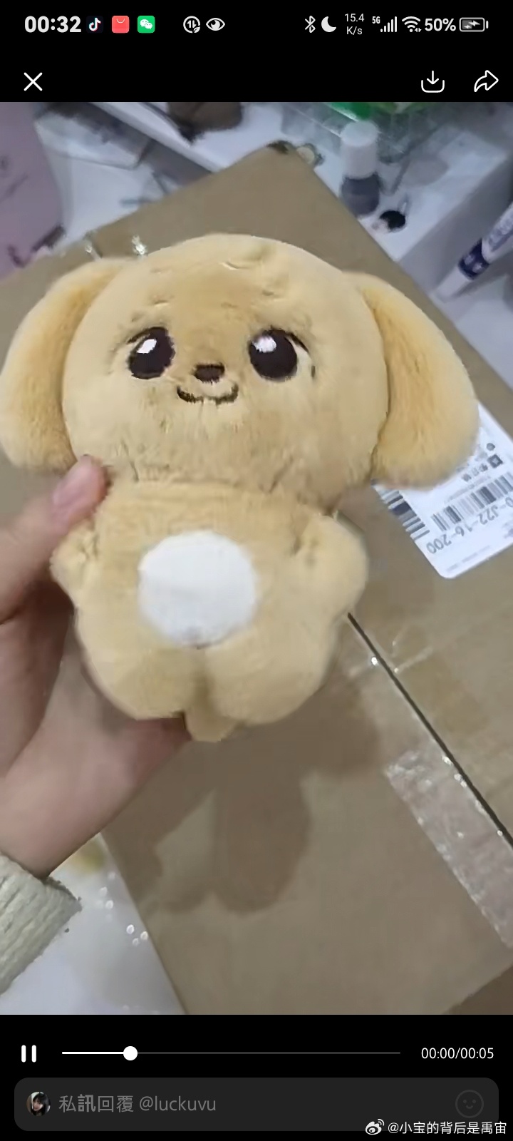 这是好狗吗 