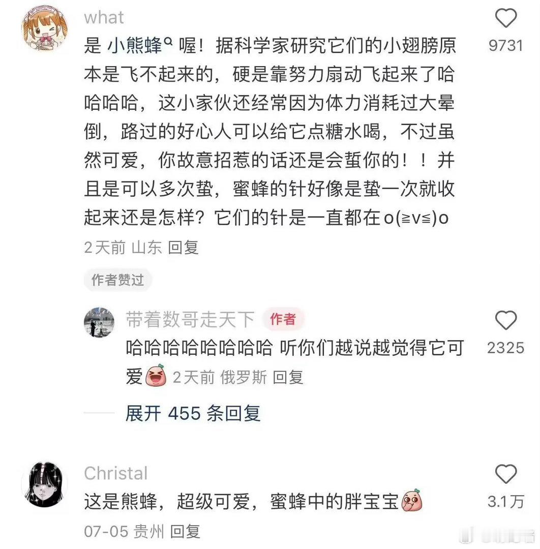 这种德国小蜜蜂被引进经常在果园工作，力气特别大，比一般的小蜜蜂传粉效率高 ​​​