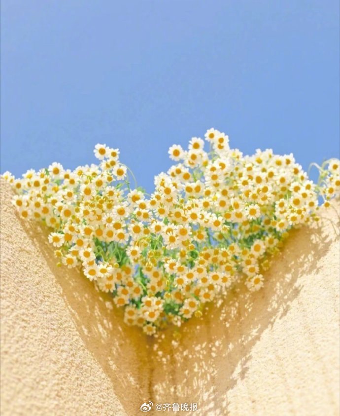 #早安# 保持对生活的爱和热情，把每一天过得热气腾腾！ 