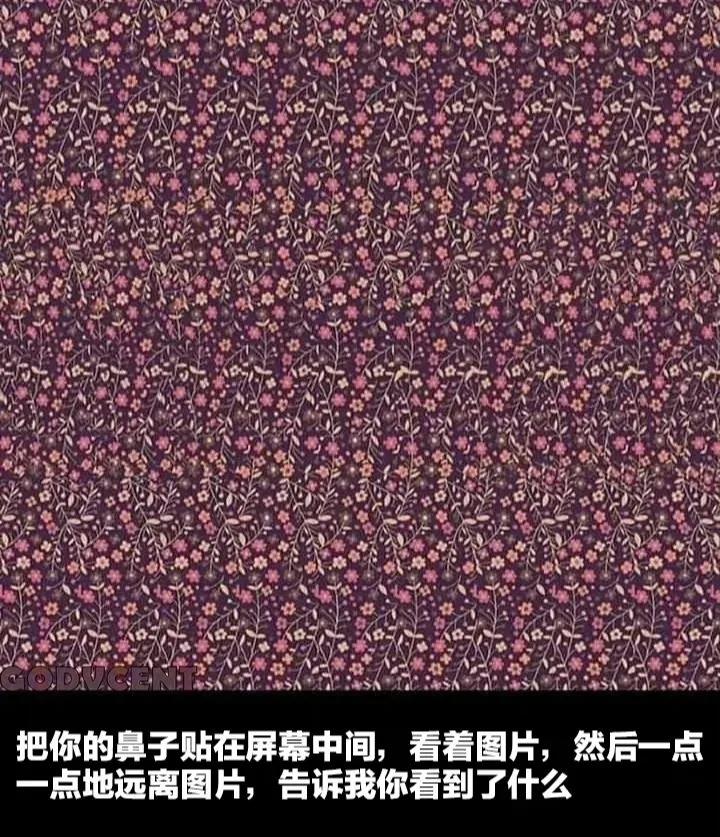 看到了什么[灵光一闪]