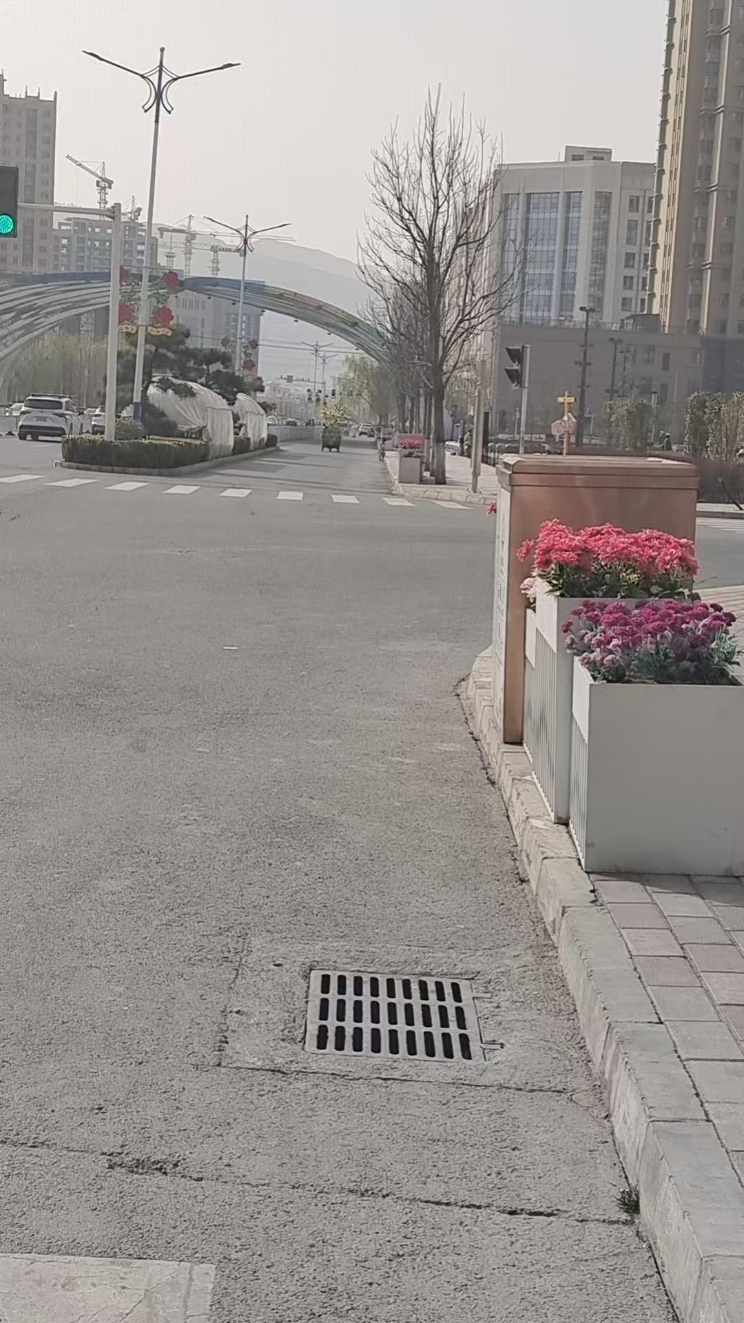 城市街景里，花坛与高楼相依，静谧而动人。花坛中，五彩的花朵尽情绽放，红得似火，粉