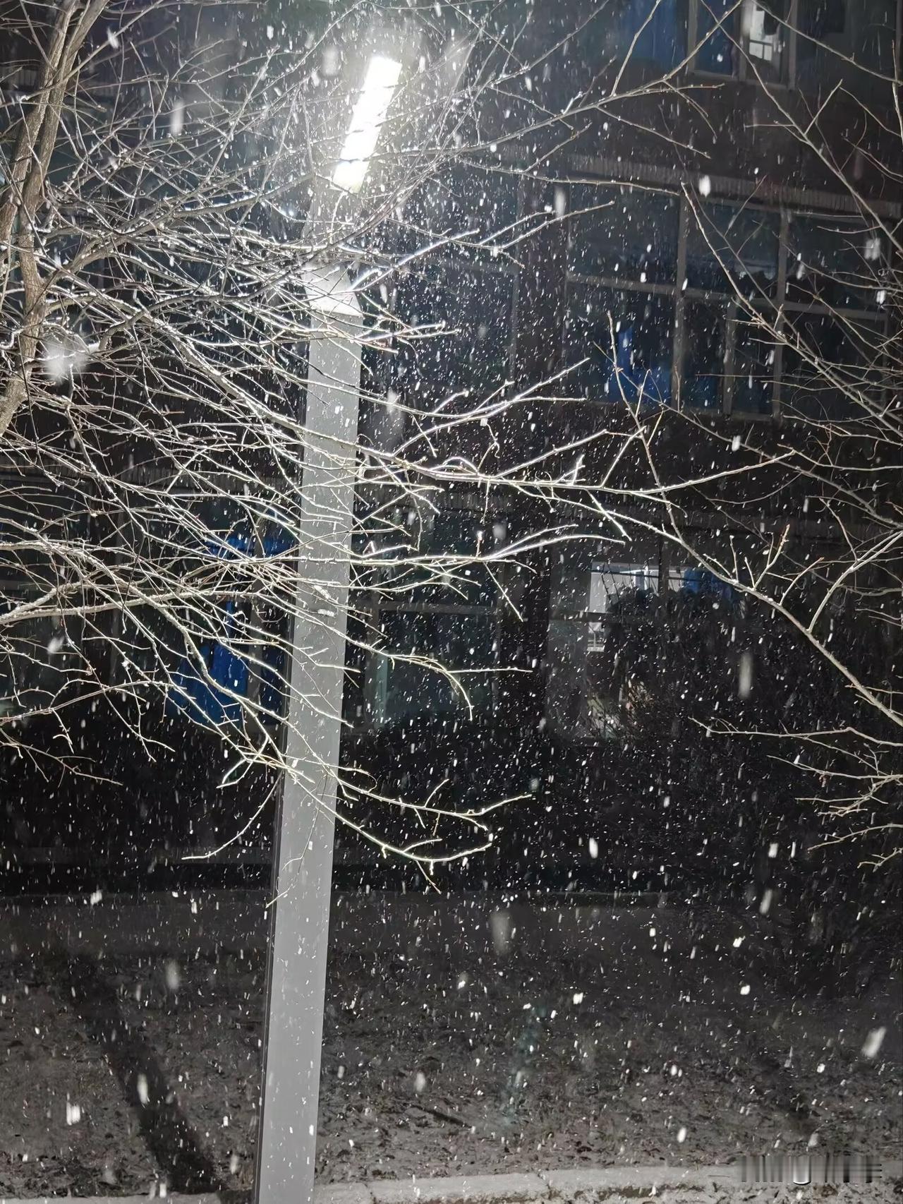 分享一张雪景图雪景 冬日雪景氛围照