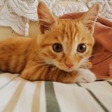 杰宸读读体育