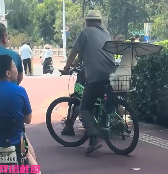 某大爷骑着一辆城市自行车，还在车后面给自己的狗狗安排个铁框座位，座位上方还撑有一