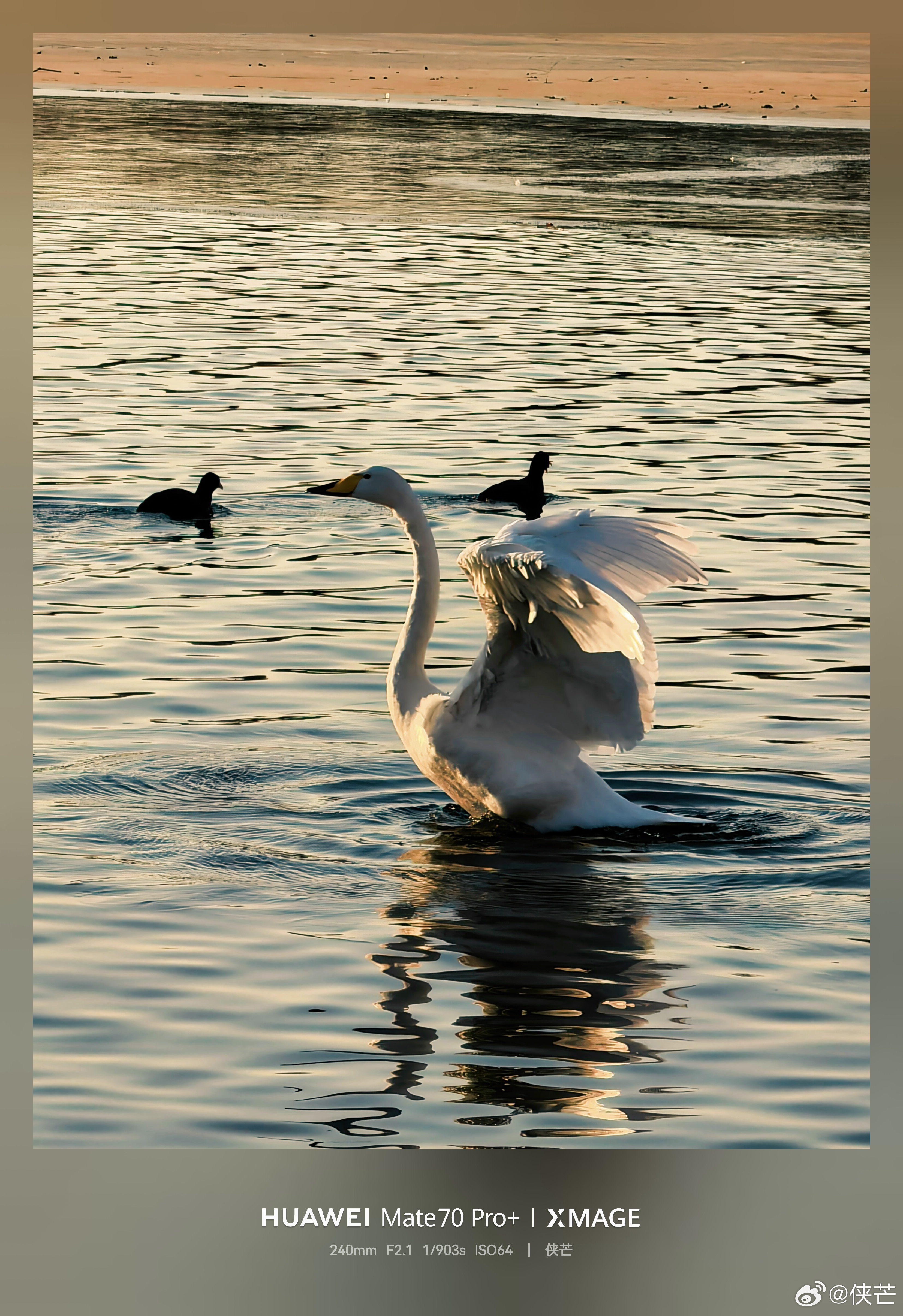 《冰封时节，生命狂欢》        寒冬的圆明园全景模型码头，一片未封冻的活水