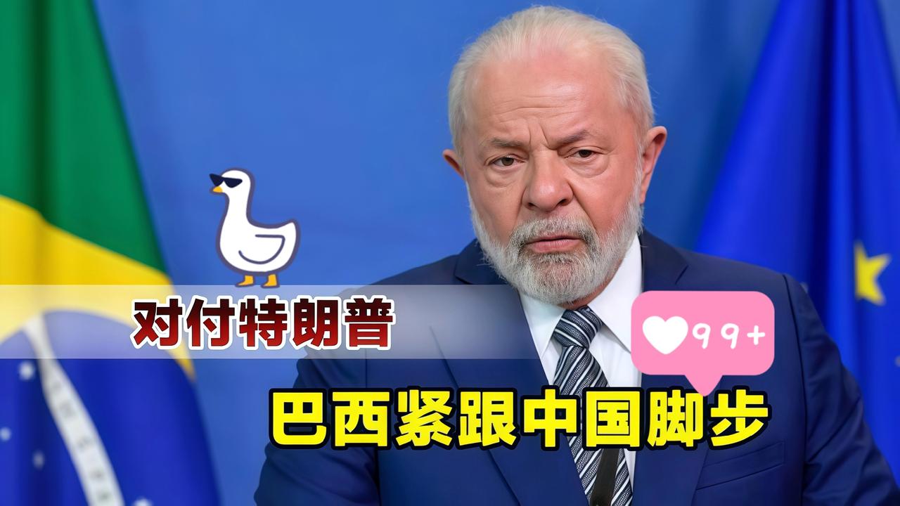 不出所料
巴西怕是要悔到拍大腿！ 

东方大国与美国达成初步共识，将在本出口季采