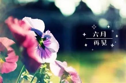 欢欢喜喜的上半年结束，
忙忙碌碌的下半年开始。
上半年的得失已经翻篇，
再见——
