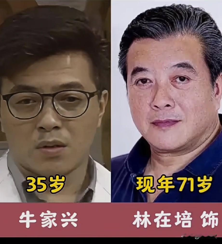 这几位是哪部剧的演员，有人知道吗？