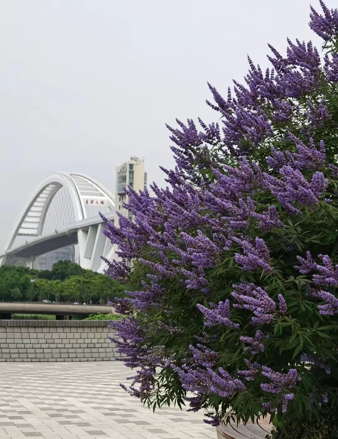我认为是