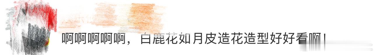 白鹿花如月皮造花造型、白鹿花如月皮造花look我天啊‼️哈哈哈哈哈哈哈哈哈哈，真