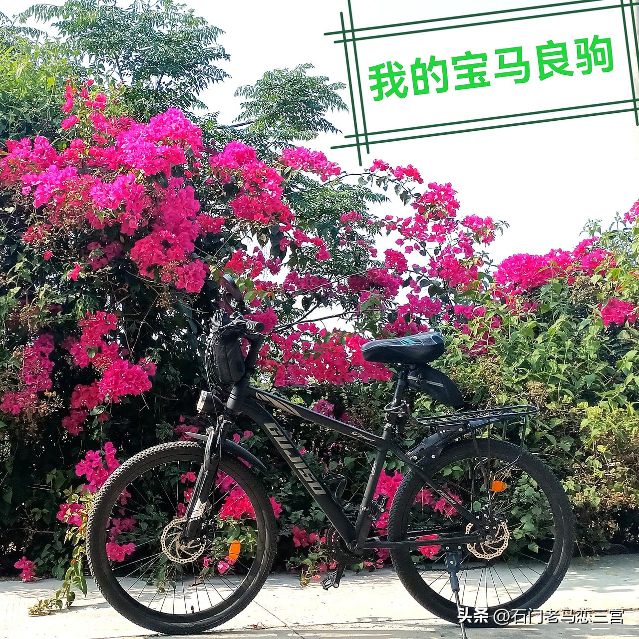 我也骑行=十来年了，就是当“候鸟”的日子，也照骑不误！一天不骑行，老伴会说病啦？