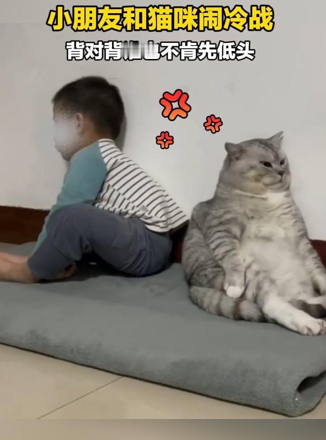 太逗了！小朋友和猫咪闹别扭开启冷战
 
可爱又好笑，小朋友和小猫闹情绪，背对背互
