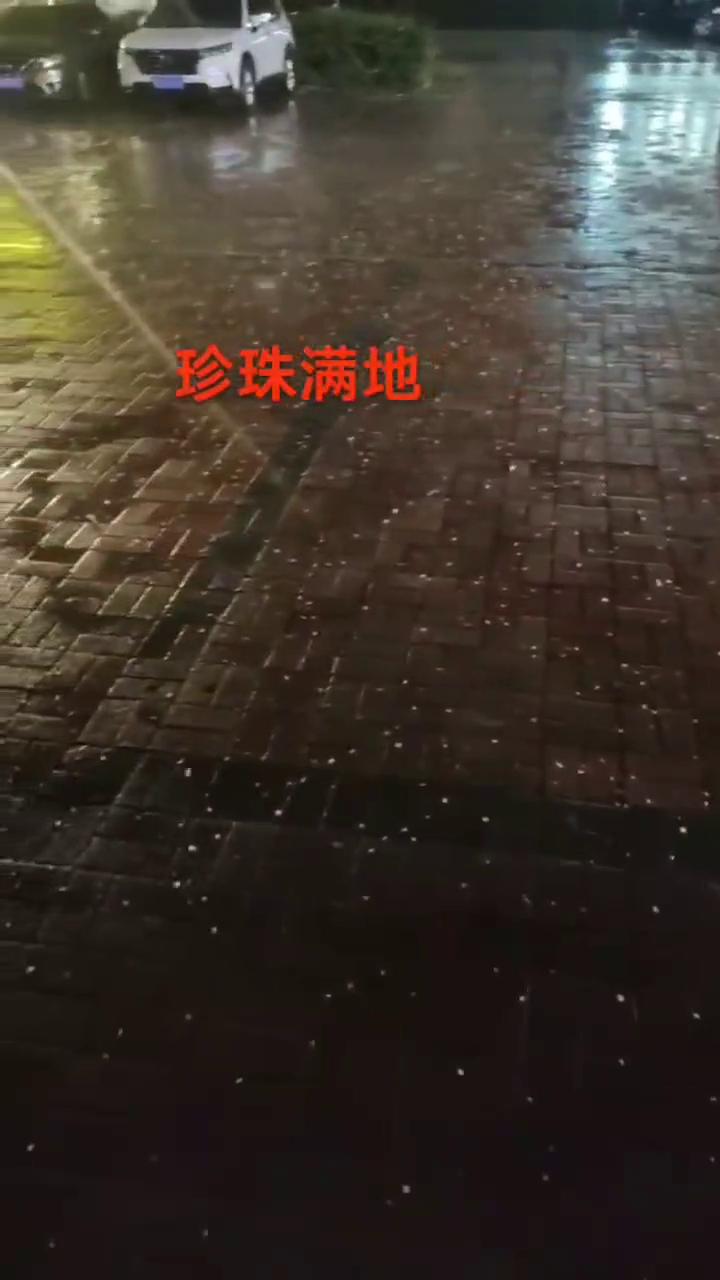 珍珠满地。