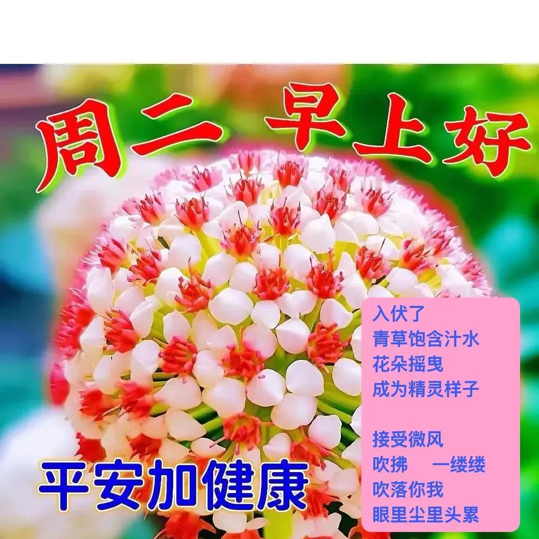 我这样渺小
只好保持
小情小调了
·
去草原
看看芨芨草
去山头 亲近朵云
．

