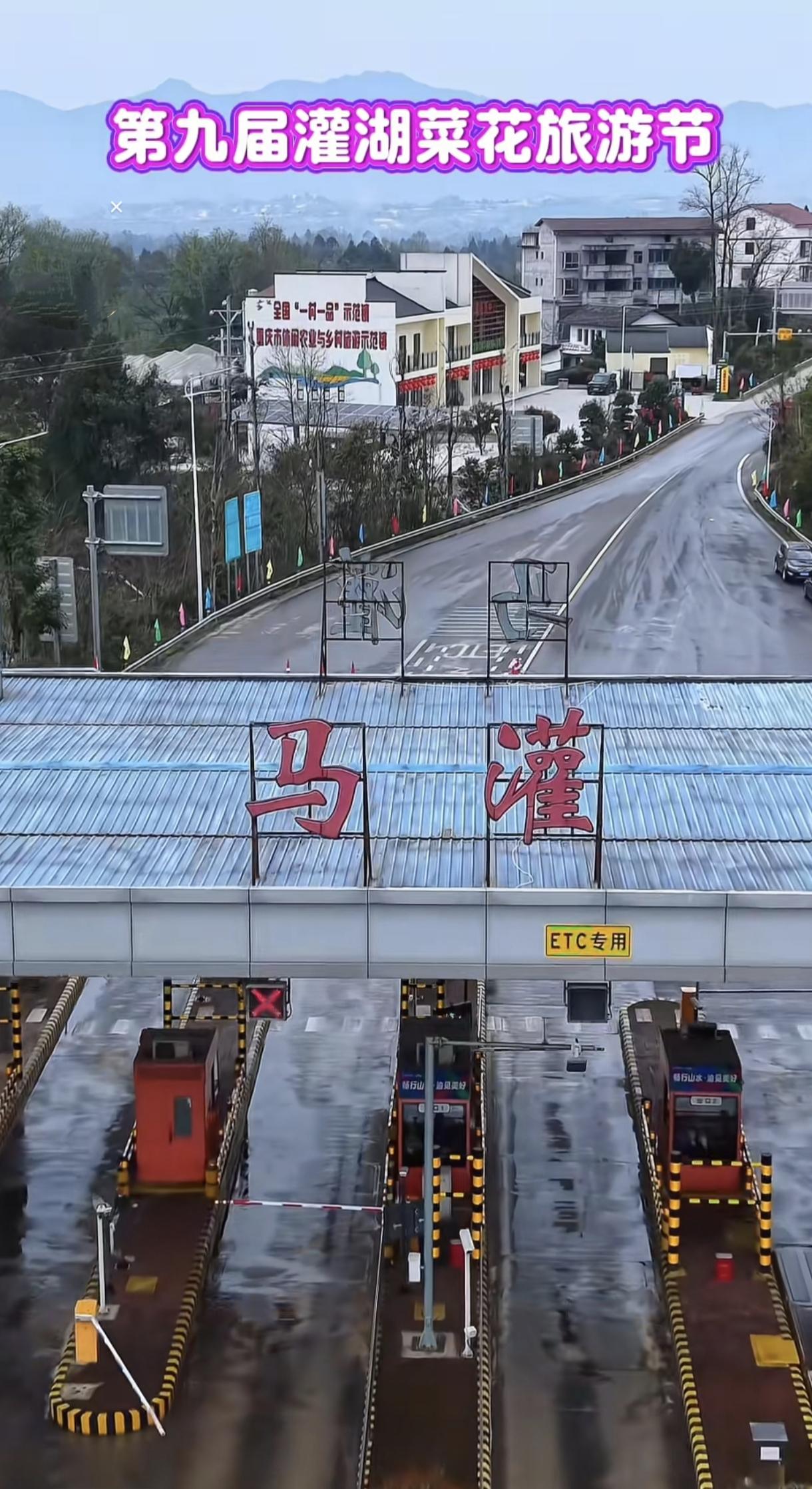 重庆忠县马灌镇灌湖水乡景区第九届菜花节将在2026年3月7日隆重免费开放，热烈欢