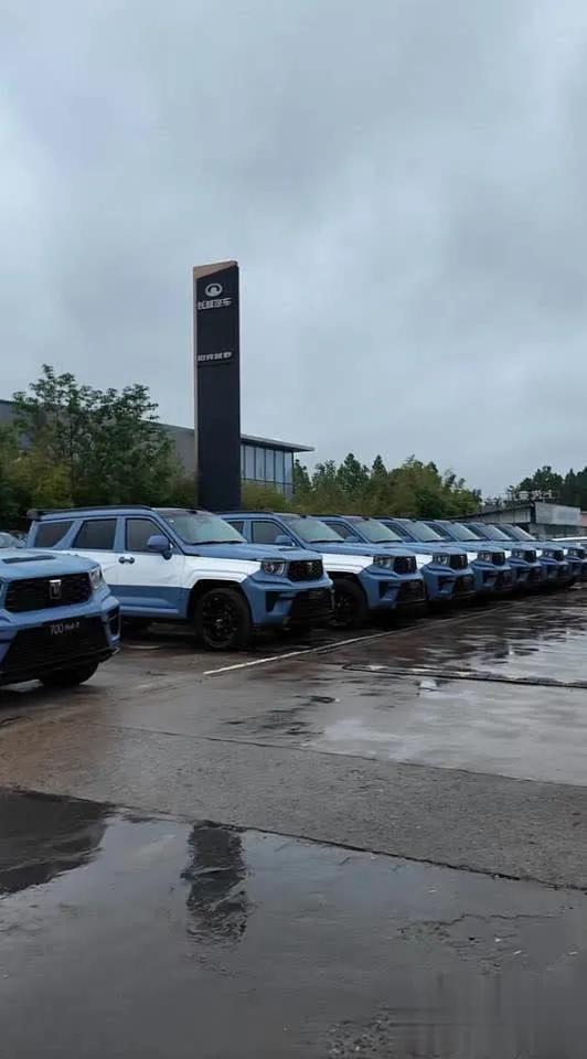 终于弄明白了
于东来这波5000万“砸车”，
到底是在挺魏建军，还是在宠员工？我